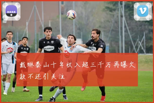 戴琳泰山十年收入超三千万再曝欠款不还引关注