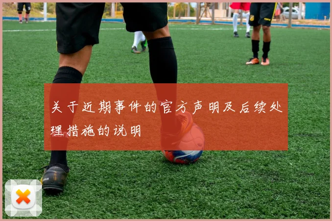 关于近期事件的官方声明及后续处理措施的说明