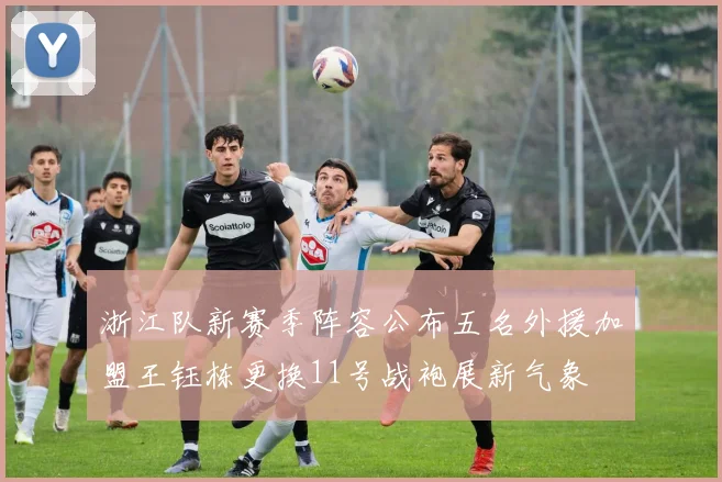 浙江队新赛季阵容公布五名外援加盟王钰栋更换11号战袍展新气象