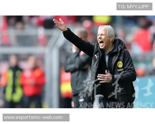 杜塞尔多夫正式签约多特蒙德年轻中锋保利纳转会费为40万欧元